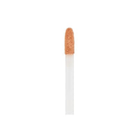 Lasting Perfection Concealer