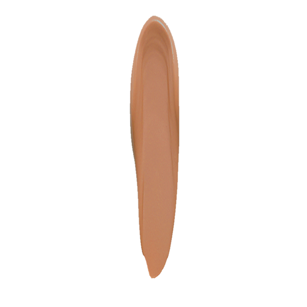 Lasting Perfection Concealer